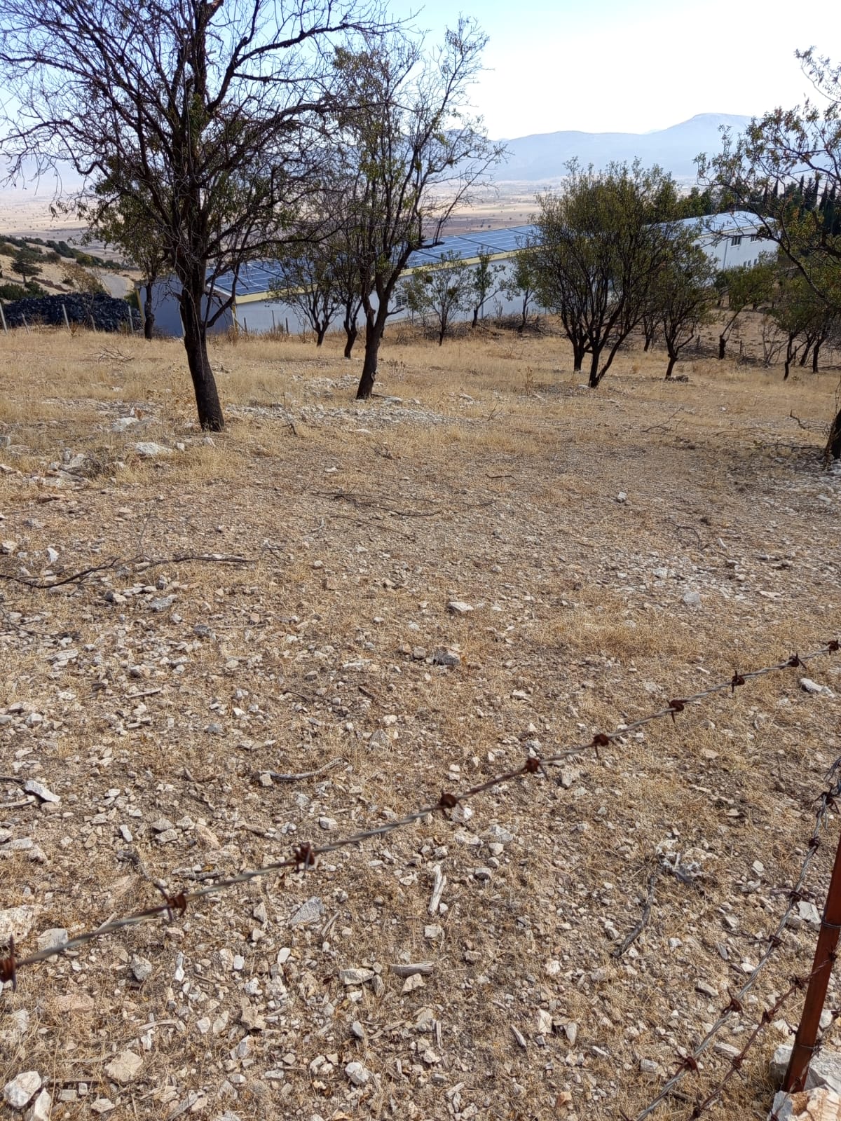 KORKUTELİ ÇOMAKLI DA 2314 M2 KÖYİÇİ  5 E BÖLÜNEBİLİR  ARSA 